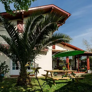  Auberge de jeunesse Nami House